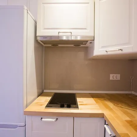 Apartment Irina Icici